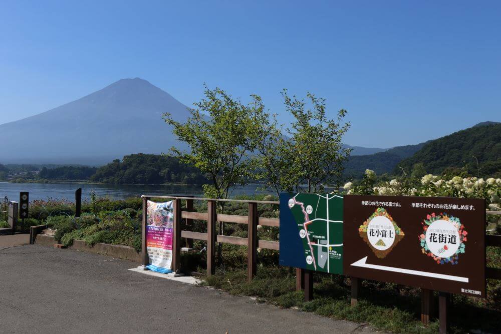 河口湖の大石公園を紹介！観光で訪れたい富士山と花の名所！｜観光