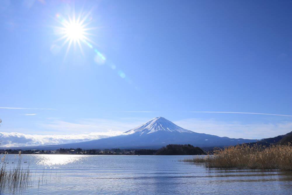 河口湖の大石公園を紹介！観光で訪れたい富士山と花の名所！｜観光